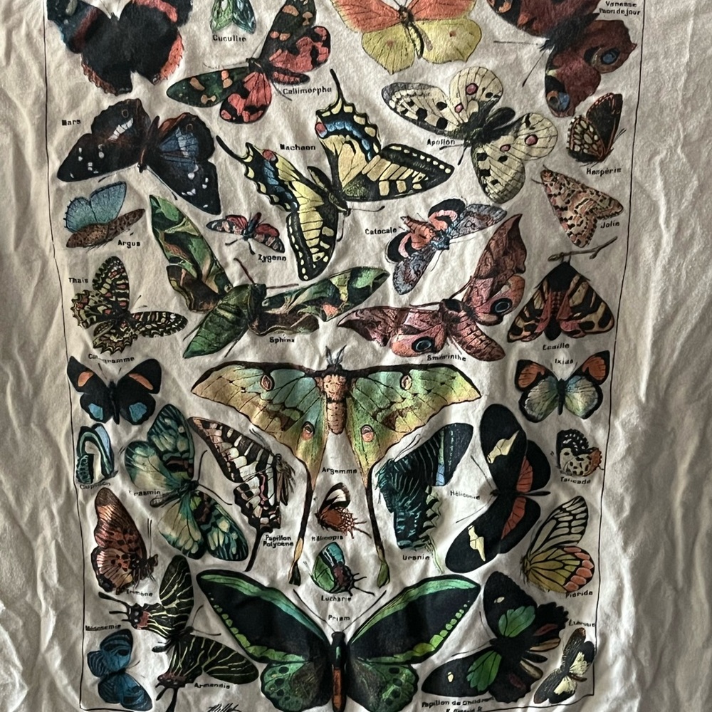 Women’s Nature-Inspired Butterfly Tee - Picture 3 of 3